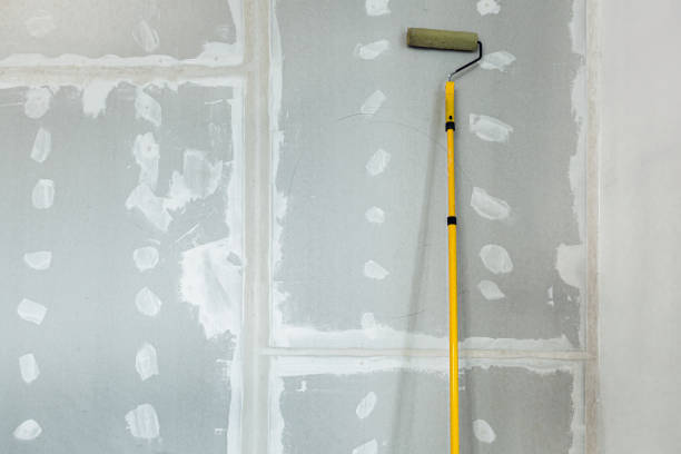 Best Water-Damaged Drywall Repair  in Bowie, TX